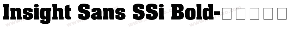 Insight Sans SSi Bold字体转换